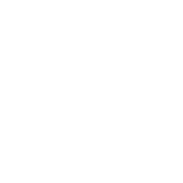 Trip advisor